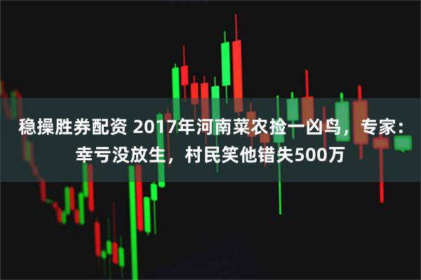 稳操胜券配资 2017年河南菜农捡一凶鸟，专家：幸亏没放生，村民笑他错失500万