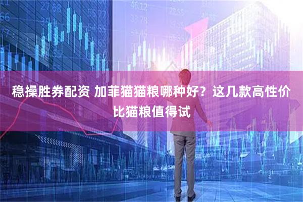 稳操胜券配资 加菲猫猫粮哪种好？这几款高性价比猫粮值得试